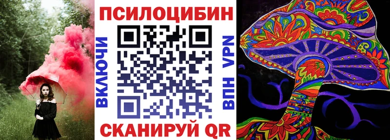 Купить  Светогорск  Галлюциногенные грибы мицелий 